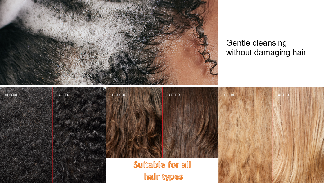 Amino Acid Gentle Shampoo Custom